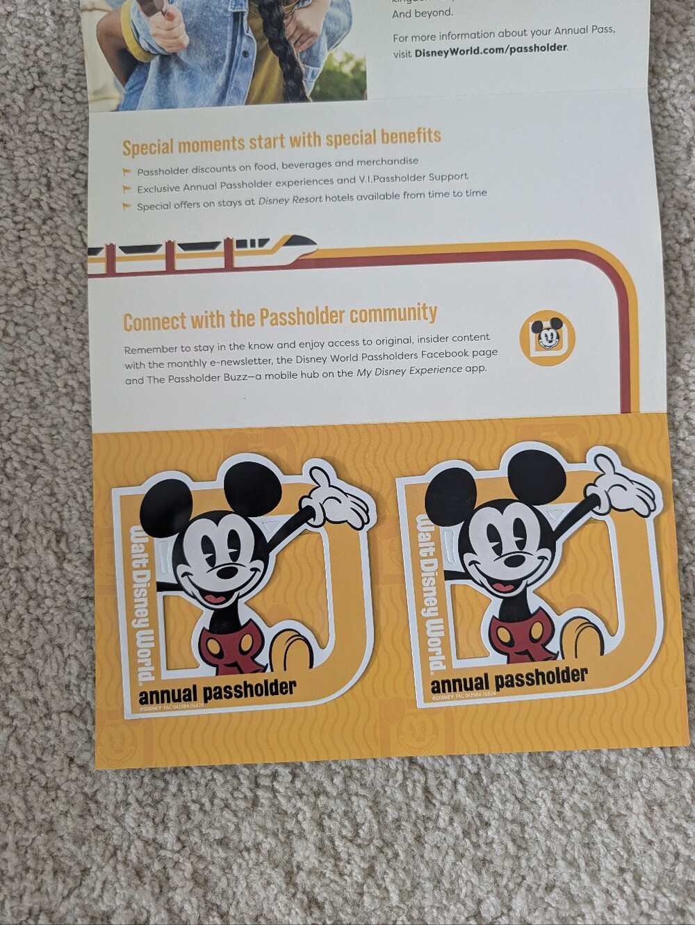 Disney Annual Passholder Mickey Magents